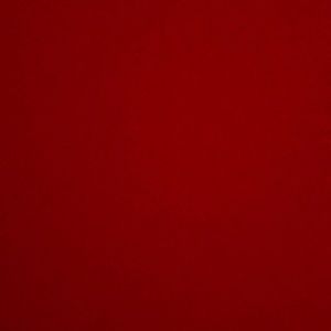 Meet your Posher, Ella